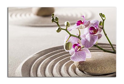 Fototapeta Zátišie Orchidea Kameň Piesok 24754
